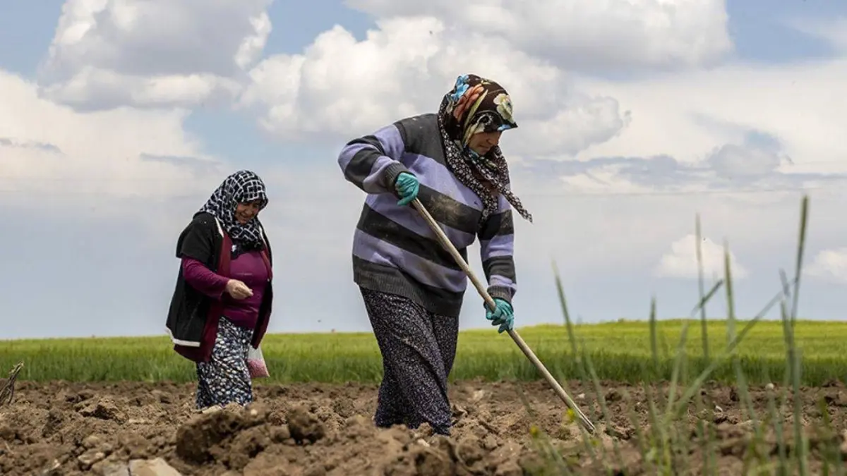 Çiftçilerin krediye erişimi zorlaştı: Tepkiler büyüyor haberinin görseli