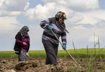 Çiftçilerin krediye erişimi zorlaştı: Tepkiler büyüyor