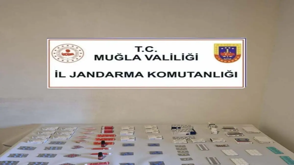 Cinsel içerikli hap operasyonu haberinin görseli