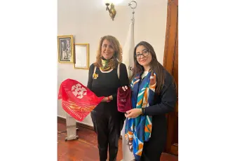 Firue ile Türk motifleri modern yaşamda