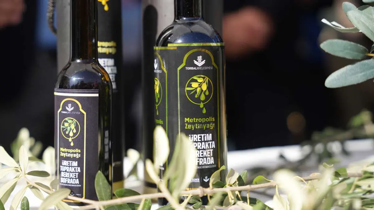Torbalı’da zeytin hasadı markaya dönüştü: Metropolis haberinin görseli