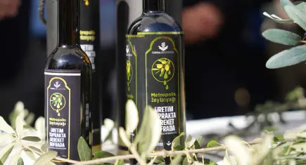 Torbalı’da zeytin hasadı markaya dönüştü: Metropolis