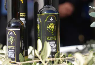 Torbalı’da zeytin hasadı markaya dönüştü: Metropolis