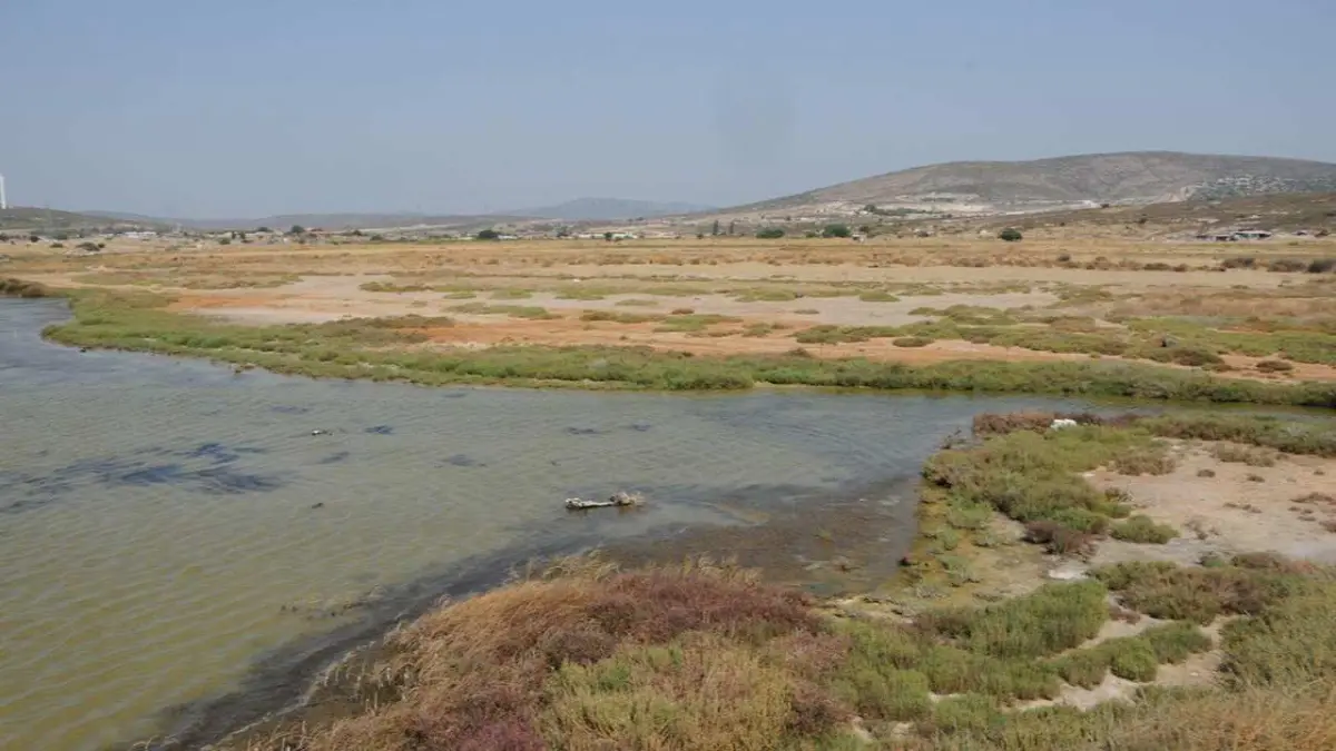 EÜ, AB Destekli HALO-FORCE projesinde Türkiye’yi temsil ediyor haberinin görseli