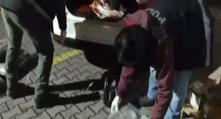 Sakarya'da zehir tacirlerine operasyon