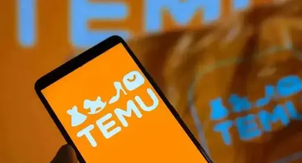 Temu'nun Türkiye ofisine operasyon: Bilgisayarlara el konuldu