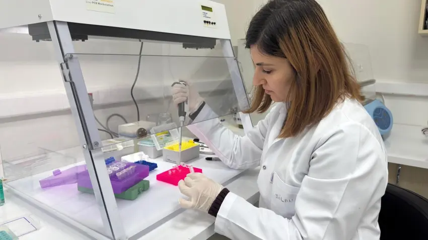 DEPARK şirketlerinden 60 milyon dolarlık ihracat başarısı haberinin görseli