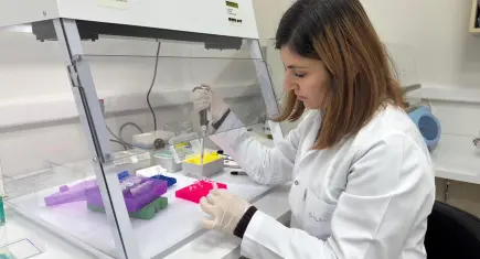 DEPARK şirketlerinden 60 milyon dolarlık ihracat başarısı