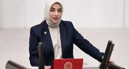 Özlem Zengin soyadı polemiğinde isim isim saydı