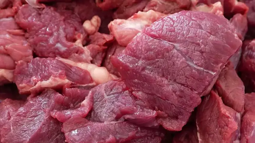 Dana ve kuzu fiyatları geriledi haberinin görseli