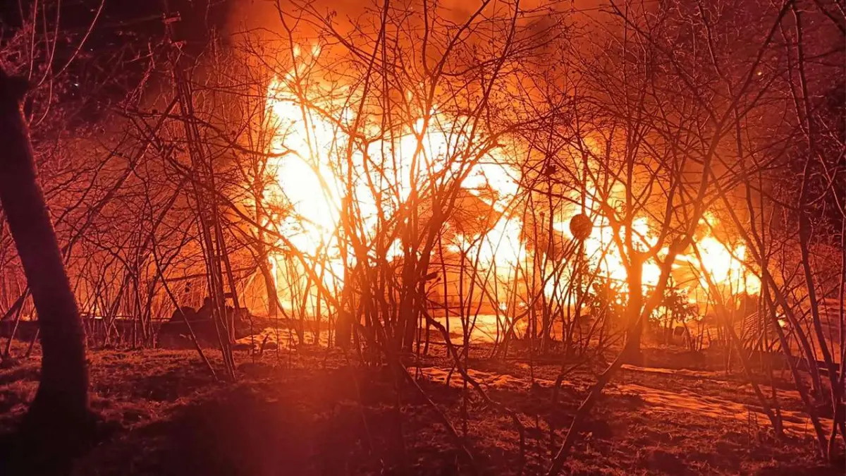 Ordu’da kan donduran olay: Evi yanan adamın cesedi ağaca asılı halde bulundu haberinin görseli