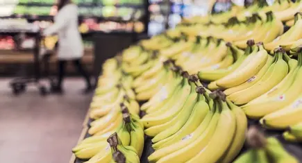 Sektörel güven endeksinde karışık seyir: Hizmet ve inşaat artarken perakende düştü!