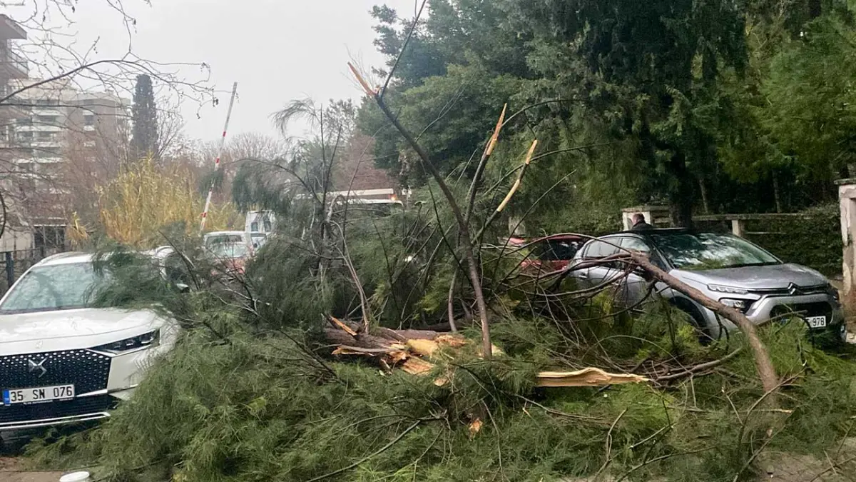 Buca Belediyesi ekipleri yağış ve fırtınaya karşı seferber oldu haberinin görseli
