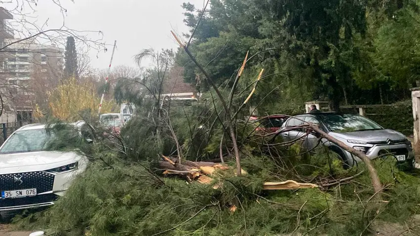 Buca Belediyesi ekipleri yağış ve fırtınaya karşı seferber oldu