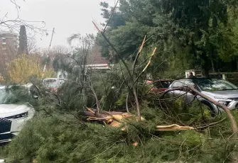 Buca Belediyesi ekipleri yağış ve fırtınaya karşı seferber oldu