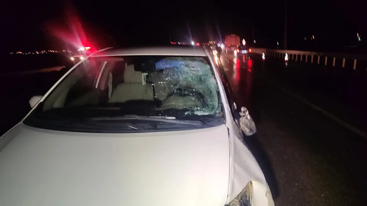 İzmir’de haber: Otomobilin çarptığı avukat hayatını kaybetti haberinin görseli