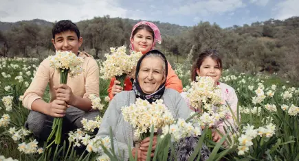 Nergis Kokulu Festivale sayılı günler