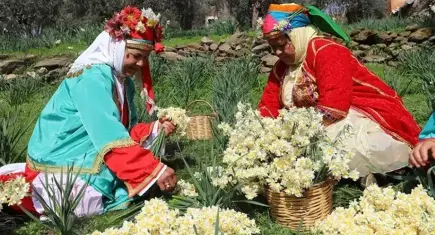 Bayındır Nergis ve Kuru Çiçek Festivali olumsuz hava koşulları nedeniyle iptal edildi