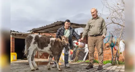 İzmir Büyükşehir’den çiftçilere şap hastalığı ve buzağı ölümlerine karşı destek