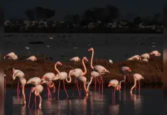 Kuraklık, Gediz Deltası’nda kirlilik baskısını artırıyor