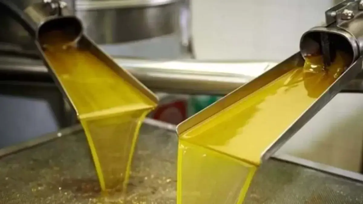 Bakanlık ifşa etti: Manisa’da zeytinyağında kimyasal hile haberinin görseli