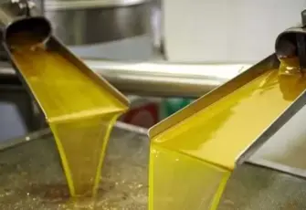 Bakanlık ifşa etti: Manisa’da zeytinyağında kimyasal hile