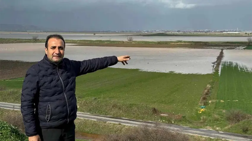 Beklenen yağışlar İzmir’de tarım alanlarını canlandırdı