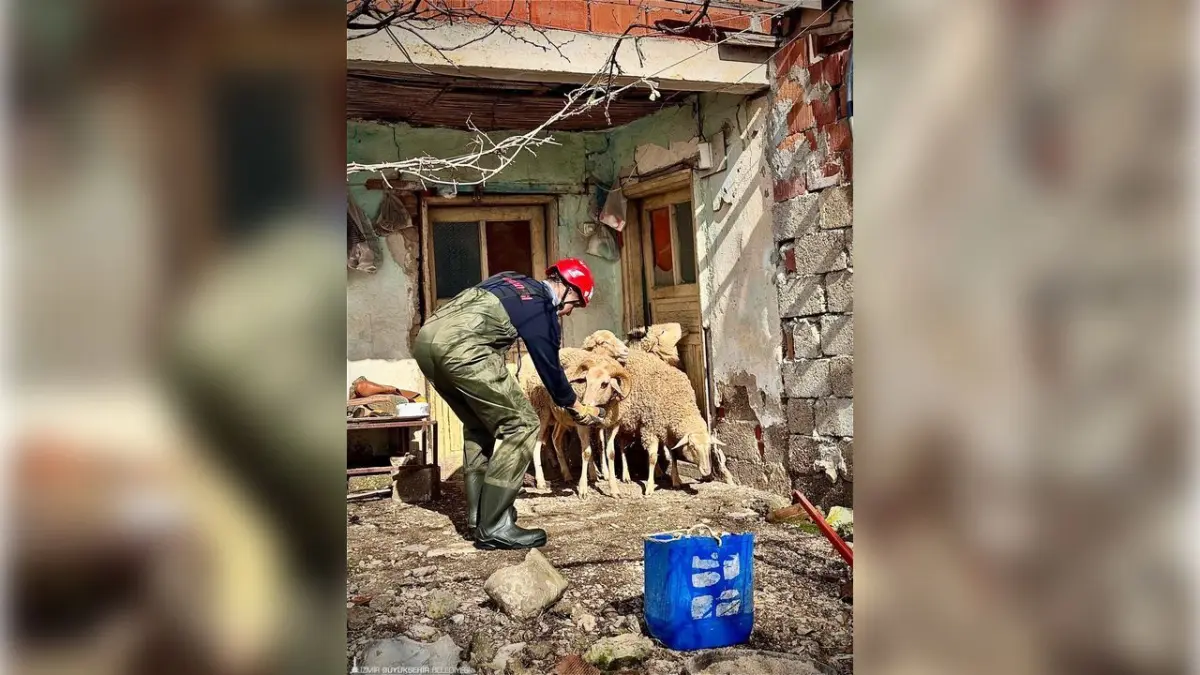 Büyükşehir ekipleri sağanakta her canlı için seferber oldu haberinin görseli