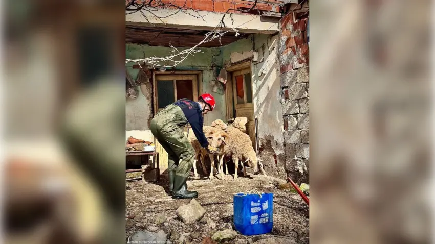 Büyükşehir ekipleri sağanakta her canlı için seferber oldu