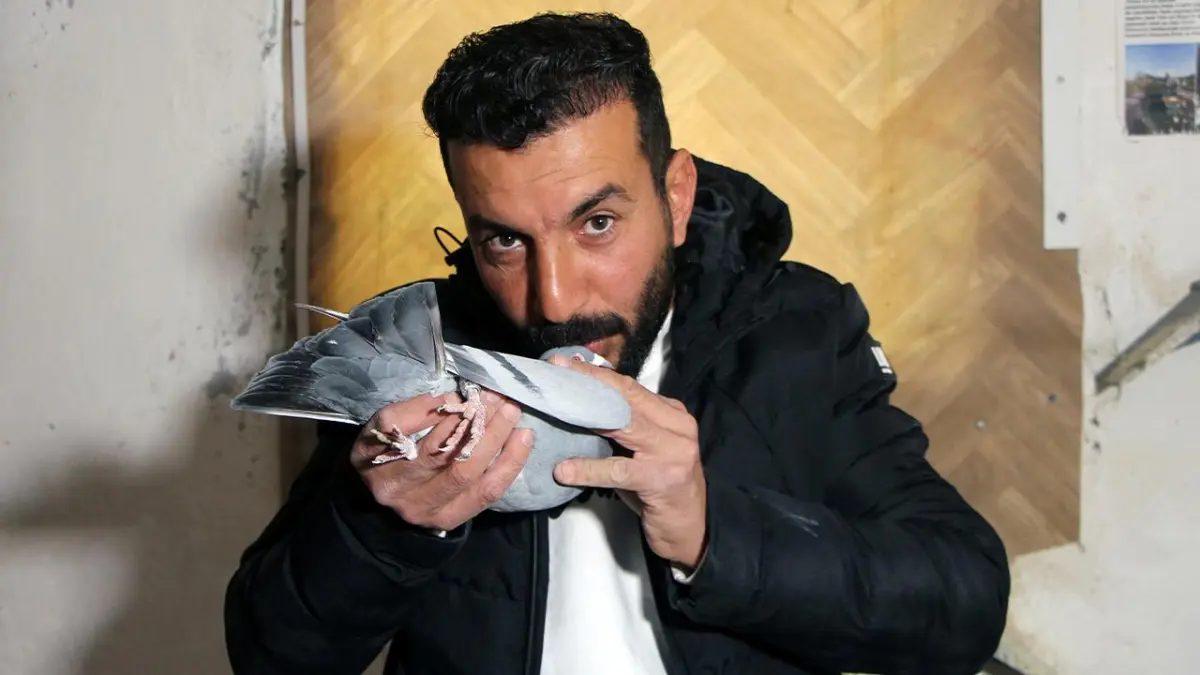 Güvercinini bulana 75 bin TL ödül verecek haberinin görseli