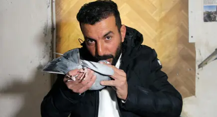 Güvercinini bulana 75 bin TL ödül verecek