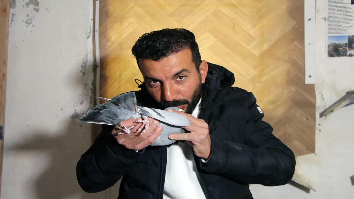 Güvercinini getirene 75 bin TL verecek başlıklı video haberin görseli
