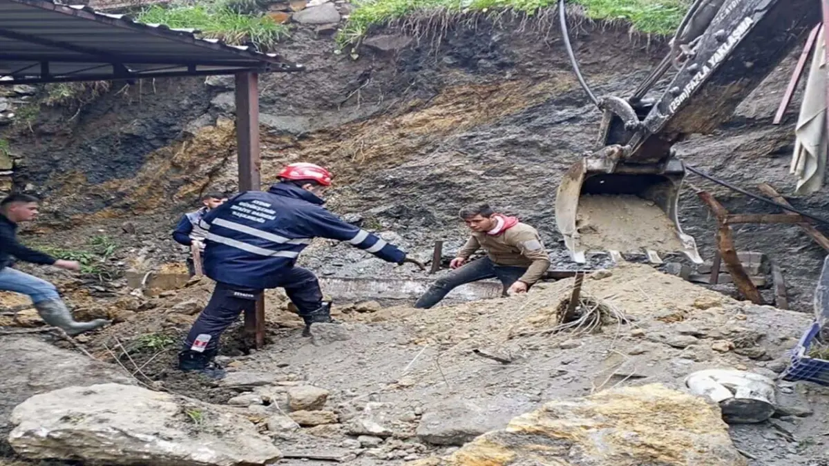 Aydın'da sağanak nedeniyle istinat duvarı çöktü; altında kalan 4 koyun öldü haberinin görseli