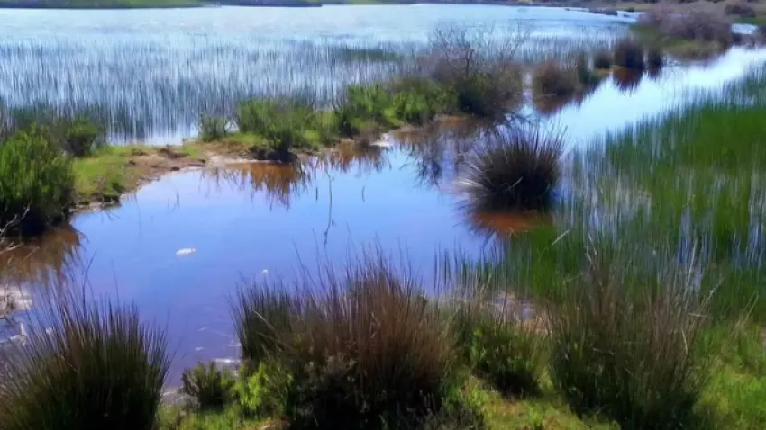 Dünya Sulak Alanlar Günü’nde İris Gölü’nden çağrı