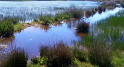 Dünya Sulak Alanlar Günü’nde İris Gölü’nden çağrı