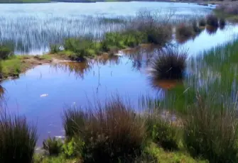 Dünya Sulak Alanlar Günü’nde İris Gölü’nden çağrı