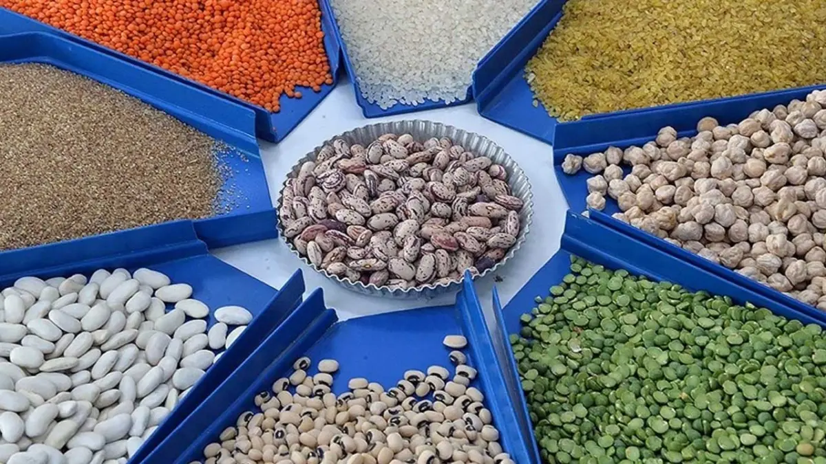 Tarım ve gıdada ihracat rekoru: 2025 yılı 27,7 milyar dolarla kapandı haberinin görseli