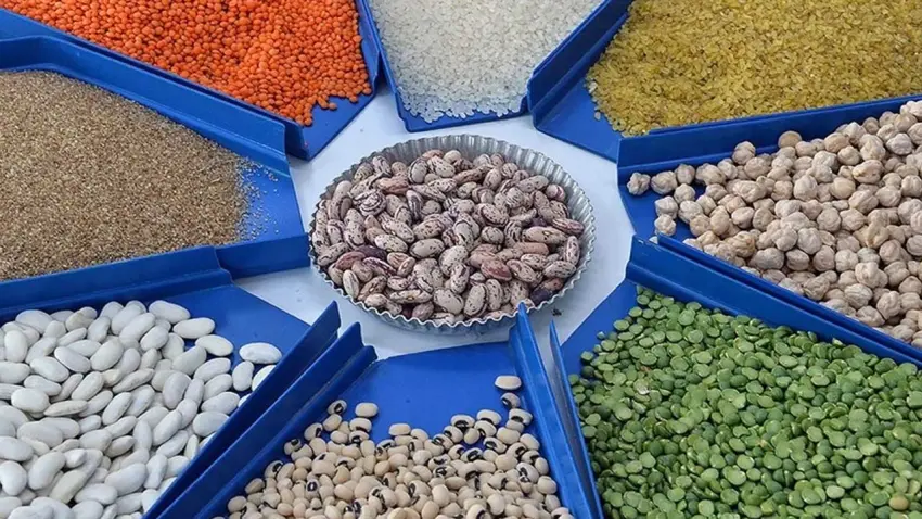 Tarım ve gıdada ihracat rekoru: 2025 yılı 27,7 milyar dolarla kapandı