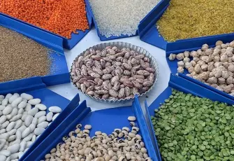 Tarım ve gıdada ihracat rekoru: 2025 yılı 27,7 milyar dolarla kapandı