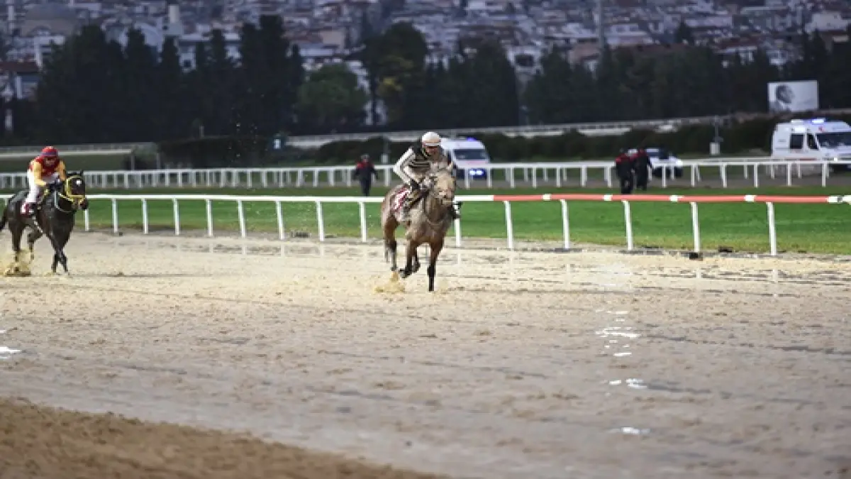 TSYD İzmir Koşusu’nu Queen Sev kazandı haberinin görseli