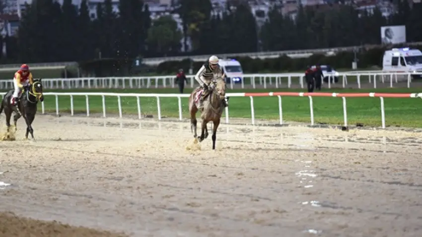 TSYD İzmir Koşusu’nu Queen Sev kazandı haberinin görseli