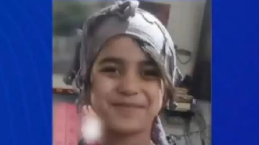 6 yaşındaki Şirin Elmas Hanilçi cinayetinde yeni gelişme: Verilen ceza hukuka uygun bulundu haberinin görseli