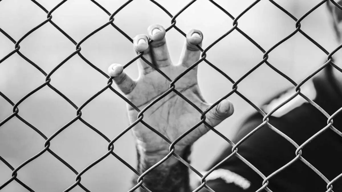 CİSST gönüllü arıyor: Hapishanelerde insan hakları için çağrı haberinin görseli