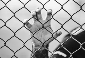 CİSST gönüllü arıyor: Hapishanelerde insan hakları için çağrı