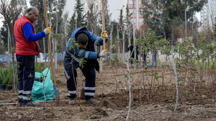 İzmir’de atıl alanlar mini ormanlara dönüşüyor