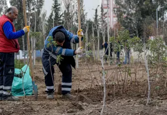 İzmir’de atıl alanlar mini ormanlara dönüşüyor