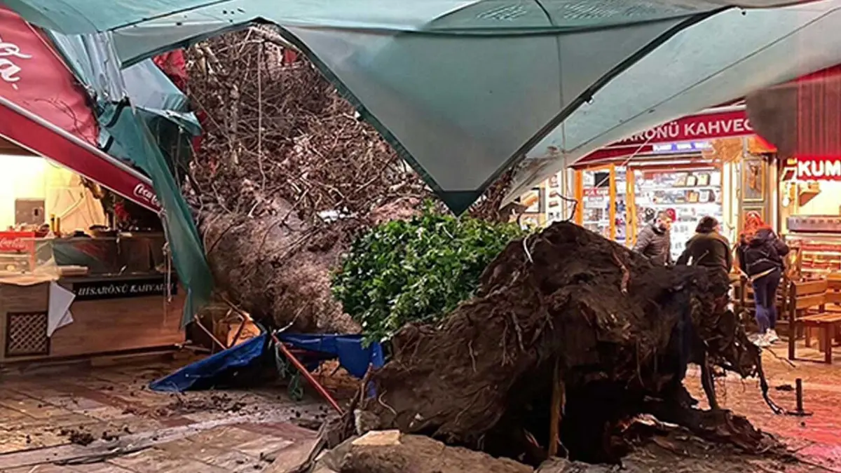 İzmir'de etkili olan sağanak yaşamı olumsuz etkiledi:Kemeraltı'nda asırlık ağaç devrildi haberinin görseli