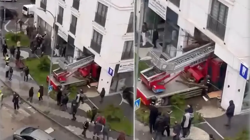 Kontrolden çıkan vinç diş polikliniğine girdi haberinin görseli