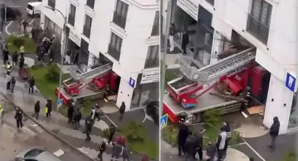 Kontrolden çıkan vinç diş polikliniğine girdi