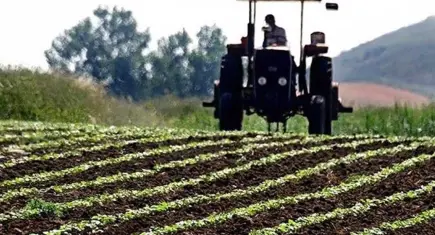 Çiftçilere bugün 94,3 milyon liralık tarımsal destekleme ödemesi yapılacak